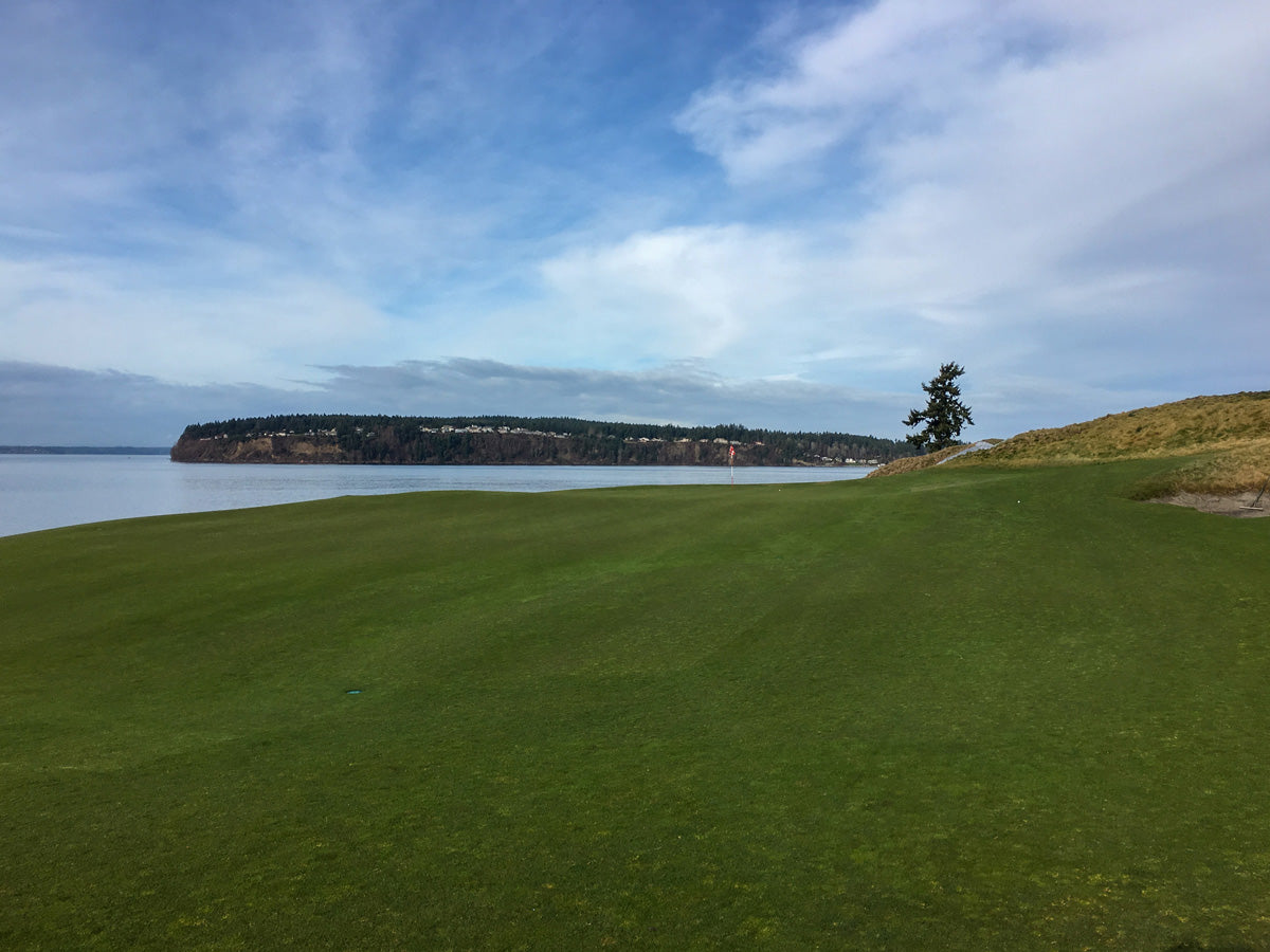 Golf course with a scenic view of water and skyline