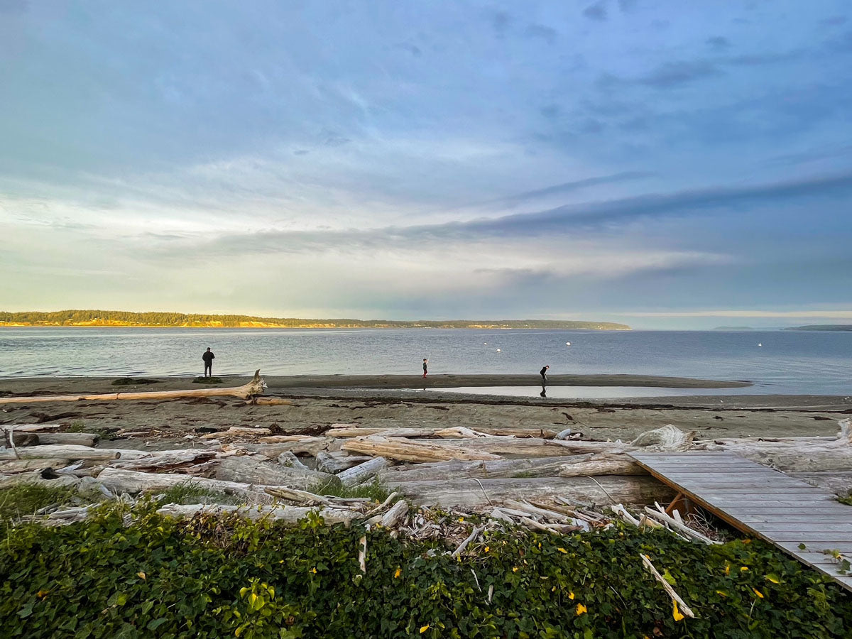 Beach scene with people on the shore and logs scattered around, under a blue sky.