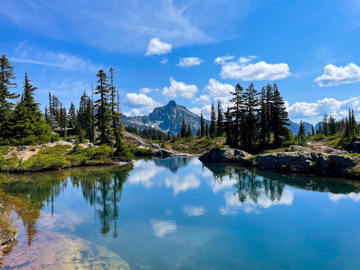 Mountain landscape with a clear blue sky, trees, and a reflective lake.